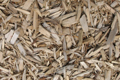 biomass boilers Butterwick